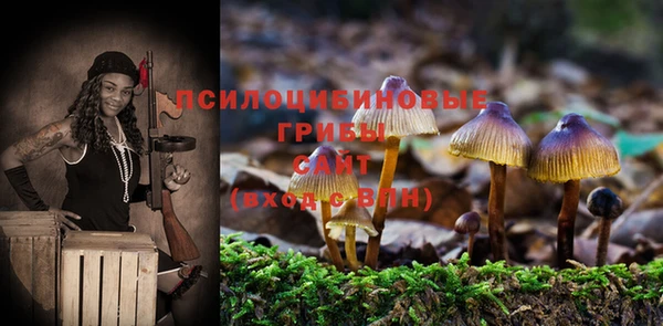 молекула духа Володарск