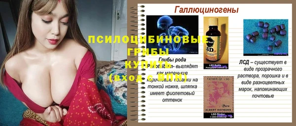 твердый Шадринск