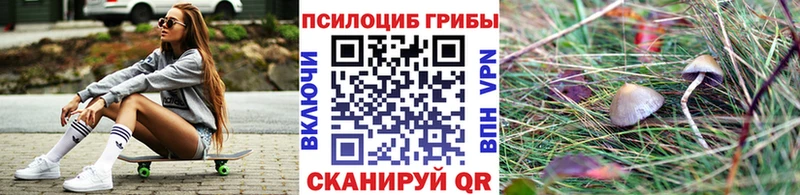 Галлюциногенные грибы Psilocybe  ОМГ ОМГ зеркало  Белоусово 